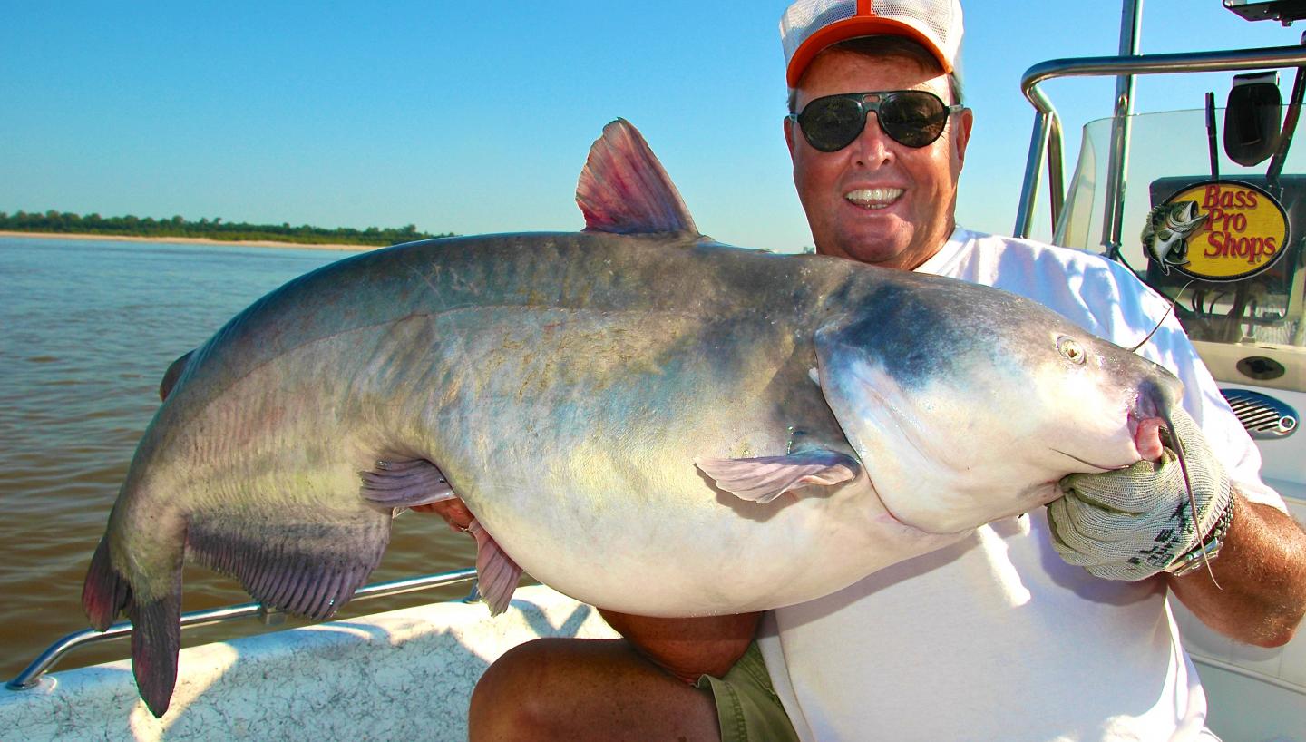 Tips for Catching Monster Catfish Venice Fishing