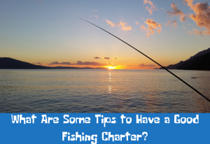Tips to Have a Good Fishing Charter